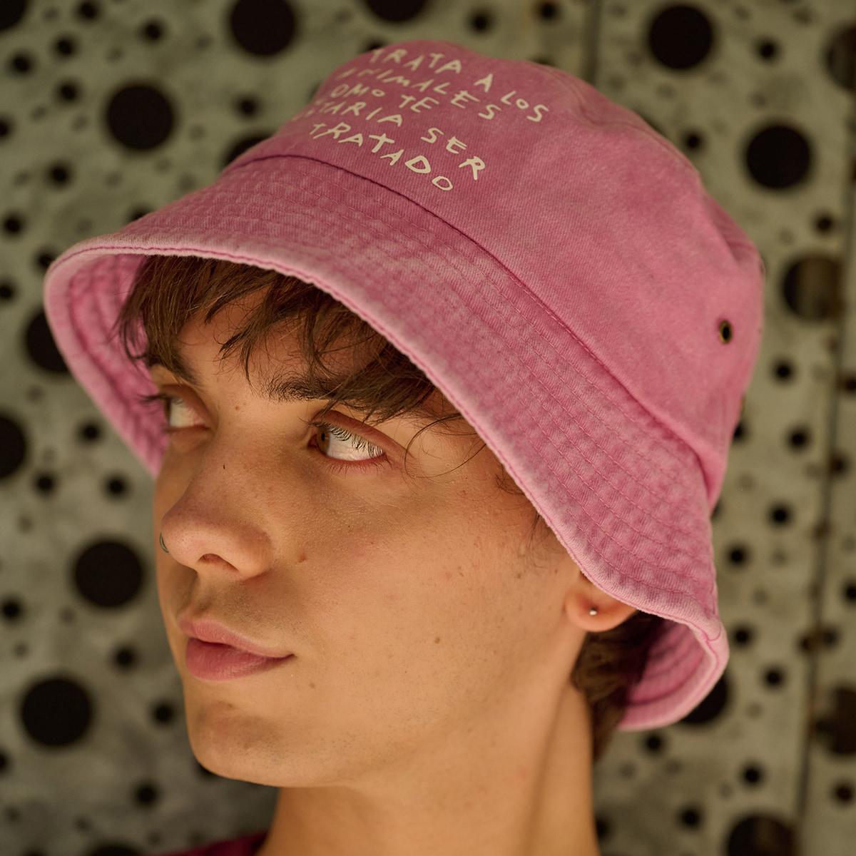 Piluso - Image 4