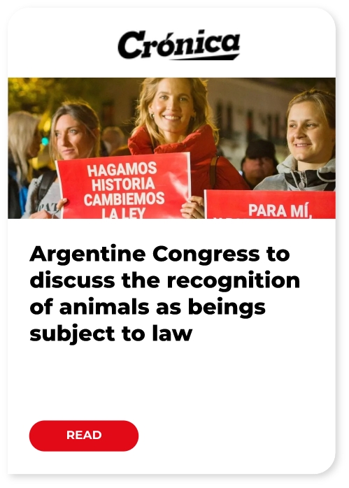 cronica