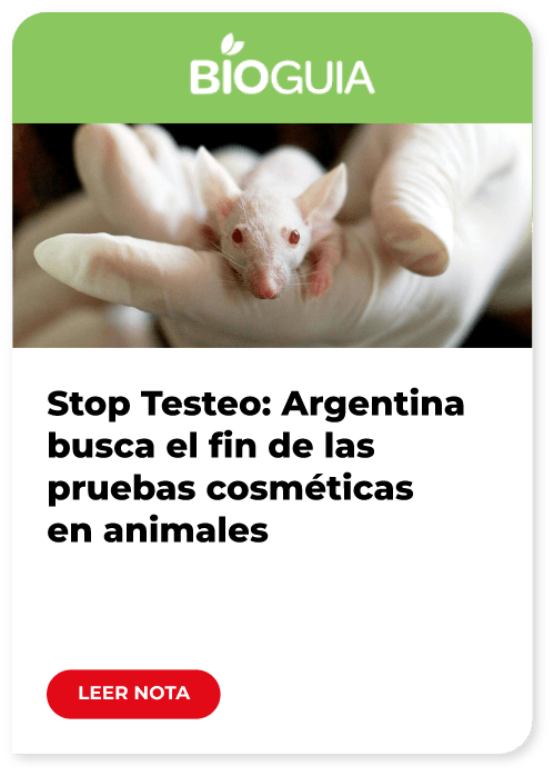 STOP_TESTEO_ESPAÑOL