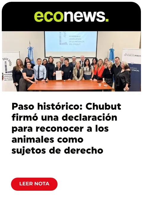 prensa_202610-002