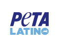 LATINO2lineNObox